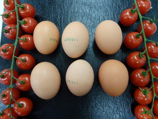 Oeufs (boite de six)