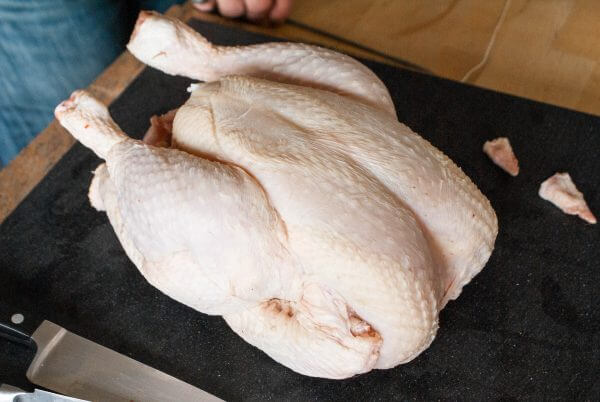 Coq