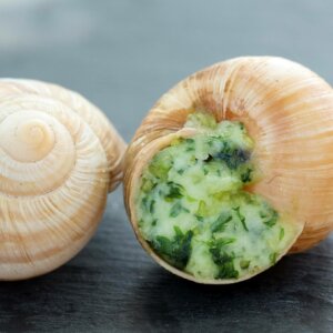 Escargots de bourgogne belle grosseur (les 12)